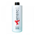 ELEA PROFESSIONAL ARTISTO Color Save Shampoo 1000 ml – šampūnas dažytiems plaukams