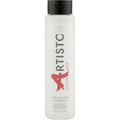 ELEA PROFESSIONAL ARTISTO Color Save Shampoo 300 ml – šampūnas dažytiems plaukams